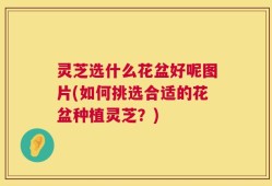 灵芝选什么花盆好呢图片(如何挑选合适的花盆种植灵芝？)