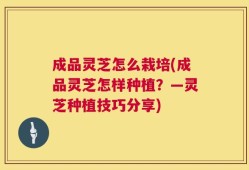 成品灵芝怎么栽培(成品灵芝怎样种植？—灵芝种植技巧分享)