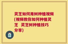 灵芝如何用树种植视频(视频教你如何种植灵芝  灵芝树种植技巧分享)
