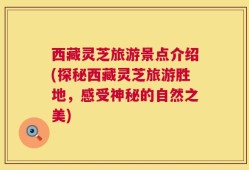 西藏灵芝旅游景点介绍(探秘西藏灵芝旅游胜地，感受神秘的自然之美)