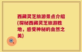 西藏灵芝旅游景点介绍(探秘西藏灵芝旅游胜地，感受神秘的自然之美)