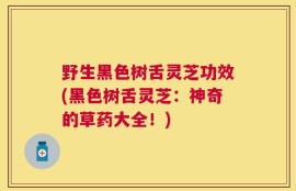 野生黑色树舌灵芝功效(黑色树舌灵芝：神奇的草药大全！)