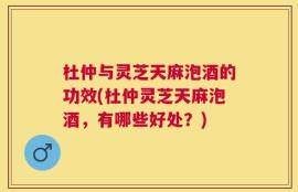 杜仲与灵芝天麻泡酒的功效(杜仲灵芝天麻泡酒，有哪些好处？)