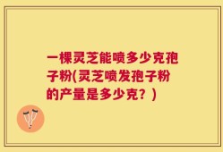 一棵灵芝能喷多少克孢子粉(灵芝喷发孢子粉的产量是多少克？)