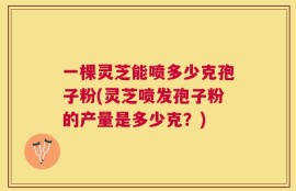 一棵灵芝能喷多少克孢子粉(灵芝喷发孢子粉的产量是多少克？)