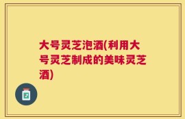 大号灵芝泡酒(利用大号灵芝制成的美味灵芝酒)