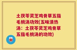 土茯苓灵芝鸡骨草五指毛桃汤功效(五味清热汤：土茯苓灵芝鸡骨草五指毛桃汤的功效)