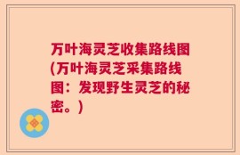 万叶海灵芝收集路线图(万叶海灵芝采集路线图：发现野生灵芝的秘密。)