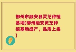 柳州市融安县灵芝种植基地(柳州融安灵芝种植基地盛产，品质上乘)