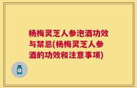杨梅灵芝人参泡酒功效与禁忌(杨梅灵芝人参酒的功效和注意事项)
