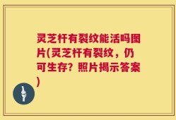 灵芝杆有裂纹能活吗图片(灵芝杆有裂纹，仍可生存？照片揭示答案)