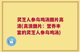 灵芝人参乌鸡汤图片高清(高清图片：营养丰富的灵芝人参乌鸡汤)