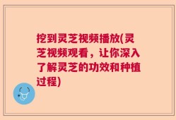 挖到灵芝视频播放(灵芝视频观看，让你深入了解灵芝的功效和种植过程)