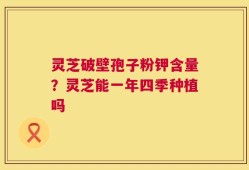灵芝破壁孢子粉钾含量？灵芝能一年四季种植吗