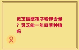 灵芝破壁孢子粉钾含量？灵芝能一年四季种植吗