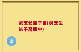 灵芝长瓶子里(灵芝生长于高瓶中)