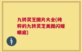 九转灵芝图片大全(纯粹的九转灵芝美图闪耀眼底)