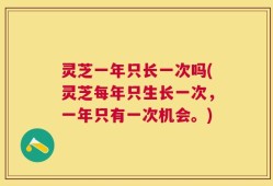灵芝一年只长一次吗(灵芝每年只生长一次，一年只有一次机会。)