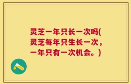 灵芝一年只长一次吗(灵芝每年只生长一次，一年只有一次机会。)