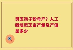 灵芝孢子粉母产？人工栽培灵芝亩产量及产值是多少