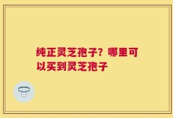 纯正灵芝孢子？哪里可以买到灵芝孢子