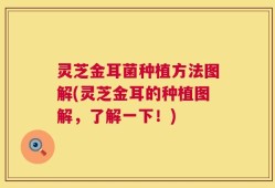 灵芝金耳菌种植方法图解(灵芝金耳的种植图解，了解一下！)