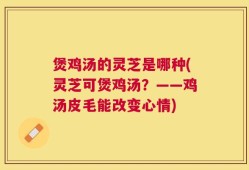 煲鸡汤的灵芝是哪种(灵芝可煲鸡汤？——鸡汤皮毛能改变心情)