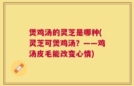 煲鸡汤的灵芝是哪种(灵芝可煲鸡汤？——鸡汤皮毛能改变心情)
