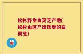 松杉野生白灵芝产地(松杉山区产出珍贵的白灵芝)