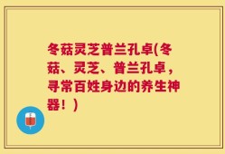 冬菇灵芝普兰孔卓(冬菇、灵芝、普兰孔卓，寻常百姓身边的养生神器！)