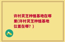 许村灵芝种植基地在哪里(许村灵芝种植基地位置在哪？)