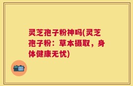 灵芝孢子粉神吗(灵芝孢子粉：草本摄取，身体健康无忧)
