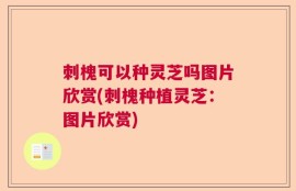 刺槐可以种灵芝吗图片欣赏(刺槐种植灵芝：图片欣赏)