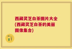 西藏灵芝白茶图片大全(西藏灵芝白茶的美丽图像集合)