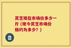 灵芝现在市场价多少一斤 (现今灵芝市场价格约为多少？)