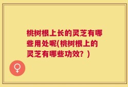 桃树根上长的灵芝有哪些用处呢(桃树根上的灵芝有哪些功效？)