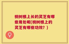 桃树根上长的灵芝有哪些用处呢(桃树根上的灵芝有哪些功效？)