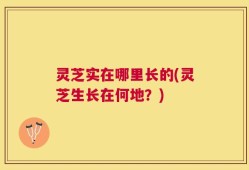 灵芝实在哪里长的(灵芝生长在何地？)