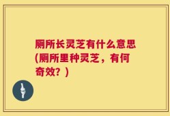 厕所长灵芝有什么意思(厕所里种灵芝，有何奇效？)