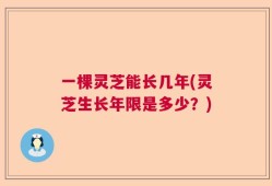 一棵灵芝能长几年(灵芝生长年限是多少？)