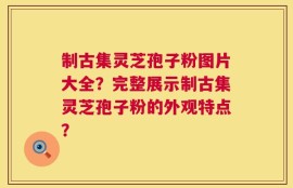 制古集灵芝孢子粉图片大全？完整展示制古集灵芝孢子粉的外观特点？