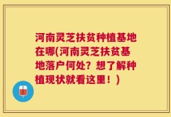河南灵芝扶贫种植基地在哪(河南灵芝扶贫基地落户何处？想了解种植现状就看这里！)