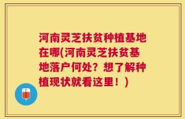 河南灵芝扶贫种植基地在哪(河南灵芝扶贫基地落户何处？想了解种植现状就看这里！)