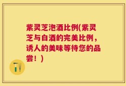 紫灵芝泡酒比例(紫灵芝与白酒的完美比例，诱人的美味等待您的品尝！)