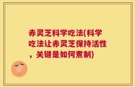 赤灵芝科学吃法(科学吃法让赤灵芝保持活性，关键是如何煮制)