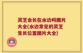 灵芝会长在水边吗图片大全(水边常见的灵芝生长位置图片大全)