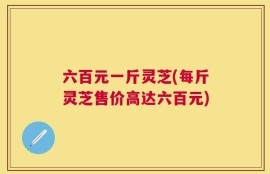 六百元一斤灵芝(每斤灵芝售价高达六百元)
