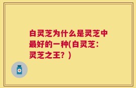 白灵芝为什么是灵芝中最好的一种(白灵芝：灵芝之王？)