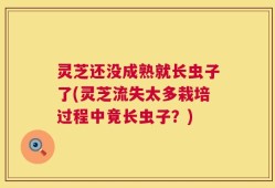 灵芝还没成熟就长虫子了(灵芝流失太多栽培过程中竟长虫子？)