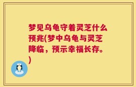 梦见乌龟守着灵芝什么预兆(梦中乌龟与灵芝降临，预示幸福长存。)